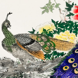 【NO.430】孔雀と牡丹の日本画アートポスター☆お正月和柄和室インテリア和モダンA3A2A1B5B4B3B2B1ハガキ 4枚目の画像