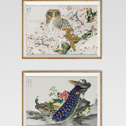 【NO.430】孔雀と牡丹の日本画アートポスター☆お正月和柄和室インテリア和モダンA3A2A1B5B4B3B2B1ハガキ 12枚目の画像