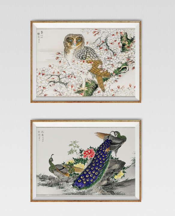 【NO.430】孔雀と牡丹の日本画アートポスター☆お正月和柄和室インテリア和モダンA3A2A1B5B4B3B2B1ハガキ 12枚目の画像