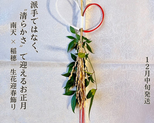 b5258b89c5c1c693a13653cb35269b