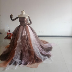 棕色閃閃發光的薄紗顏色連身裙，閃閃發光，可愛繫帶公主裙罩衫 第4張的照片
