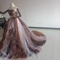 棕色閃閃發光的薄紗顏色連身裙，閃閃發光，可愛繫帶公主裙罩衫 第10張的照片