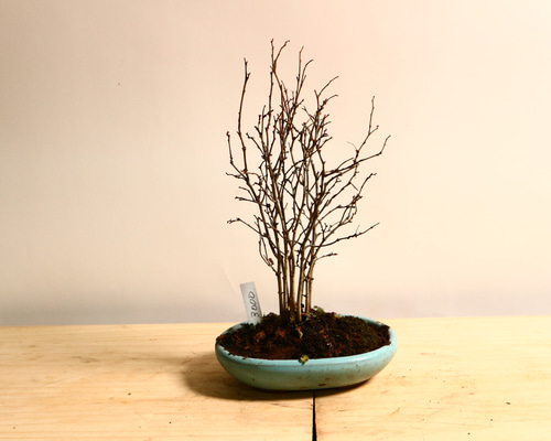 64b1b18662b9f8e568122e1b843d79