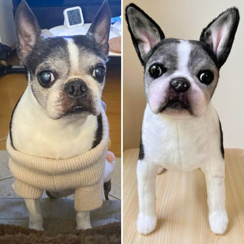 犬 猫 ペットそっくりな動物ぬいぐるみ オーダーメイド▷大切な 犬 猫 ペットそっくりな動物ぬいぐるみ オーダーメイド▷大切な