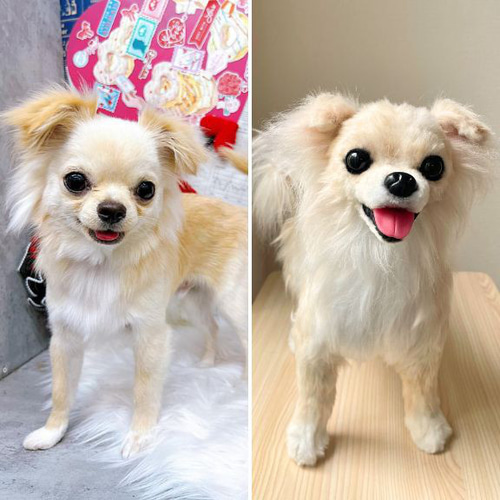 犬 猫 ペットそっくりな動物ぬいぐるみ オーダーメイド▷大切な方への