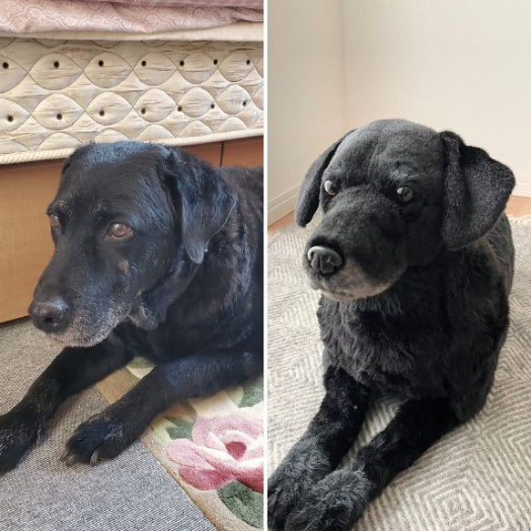 犬 猫 ペットそっくりな動物ぬいぐるみ オーダーメイド▶大切な方へのユニークなギフトとしても 