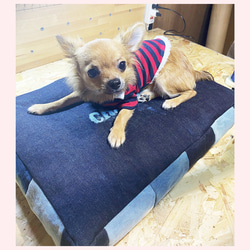 ☆hさま専用　デニムリメイク　ペットベッド デニムリメイク☆ペットベッド No.004 クッション・ベッド blue works