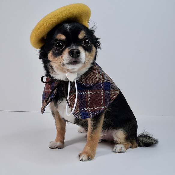 チェック·ケープ ペット服・アクセサリー nakedpet 通販 15190677