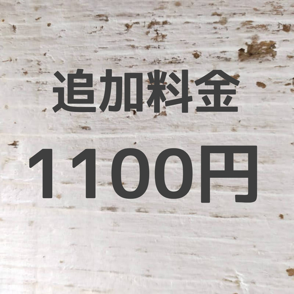 追加料金1100円 1枚目の画像