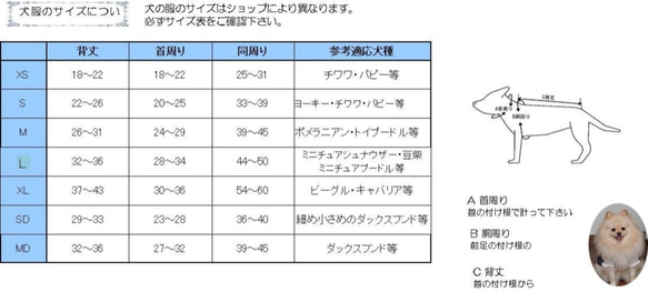  第8張的照片