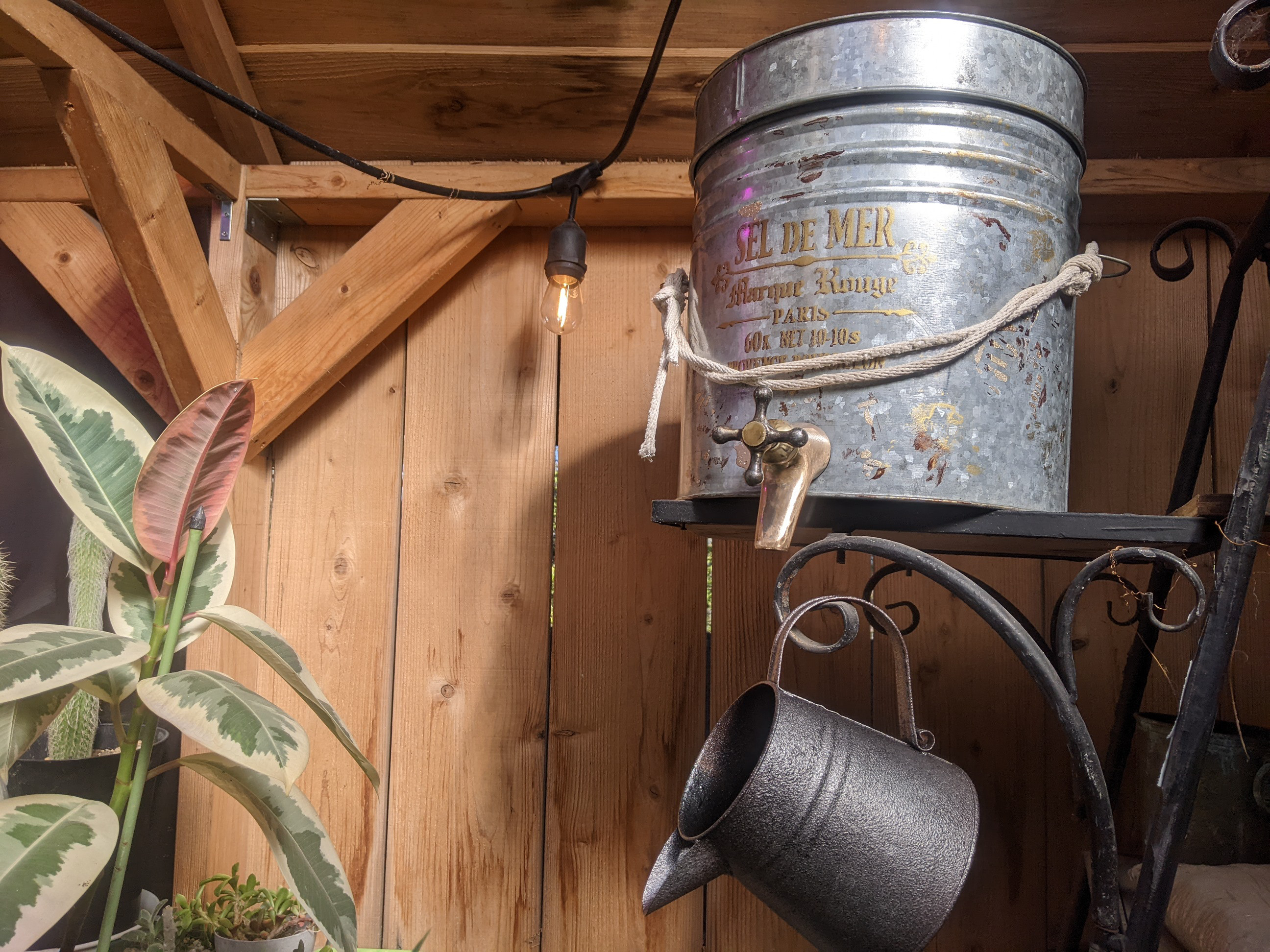 アンティークな家 室内ガーデニング 貯水タンク（S） 室内植物 水やり方法 室内ガーデニング 室内植物 貯水タンク（S） アンティークな家 水やり方法