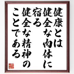 名言「健康とは、健全な肉体に宿る、健全な精神のことである」額付き書道色紙／受注後直筆（V1165） 1枚目の画像