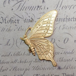 BEHOLD− 蝶 真鍮製 1個 チョウ 昆虫 アメリカ製 スタンピング ヴィンテージ風 1枚目の画像