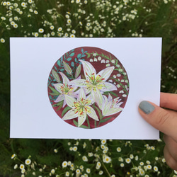 4枚セット「私の小さな花コレクション」ポストカード, 秋冬デザイン, お花のカード 2枚目の画像
