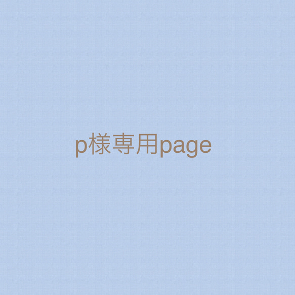 p様専用page 1枚目の画像