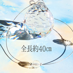 一時掲載終了 5枚目の画像