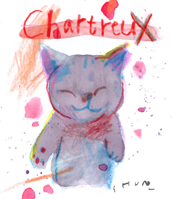 Chartreux-2 2枚目の画像