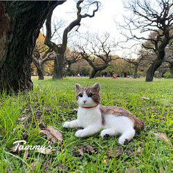 【３Dオーダー例_夢子ちゃん】立体猫、ペットメモリアル、ペットロス、羊毛フェルト犬、フェルト猫、ポートレート 3枚目の画像