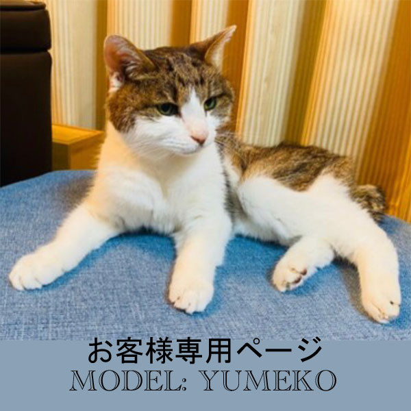 うちの子オーダー2025【３Dオーダー例_夢子ちゃん】立体猫、ペットメモリアル、ペットロス、羊毛フェルト