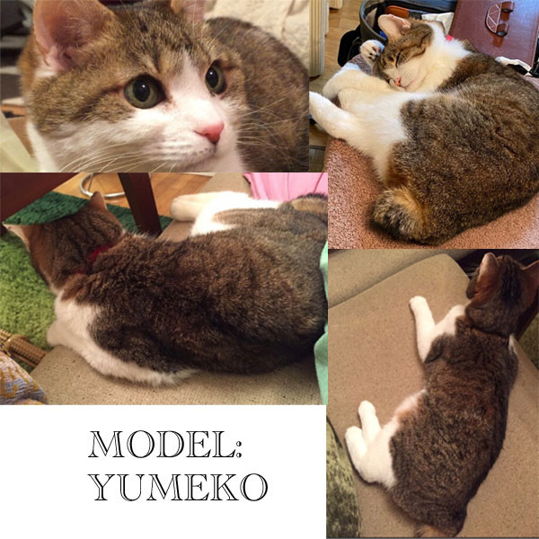 うちの子オーダー2025【３Dオーダー例_夢子ちゃん】立体猫、ペットメモリアル、ペットロス、羊毛フェルト