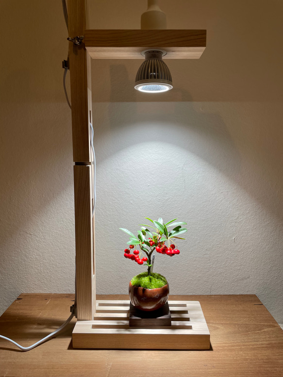 植物育成LEDライトスタンド（メープル）　LED電球付 3枚目の画像