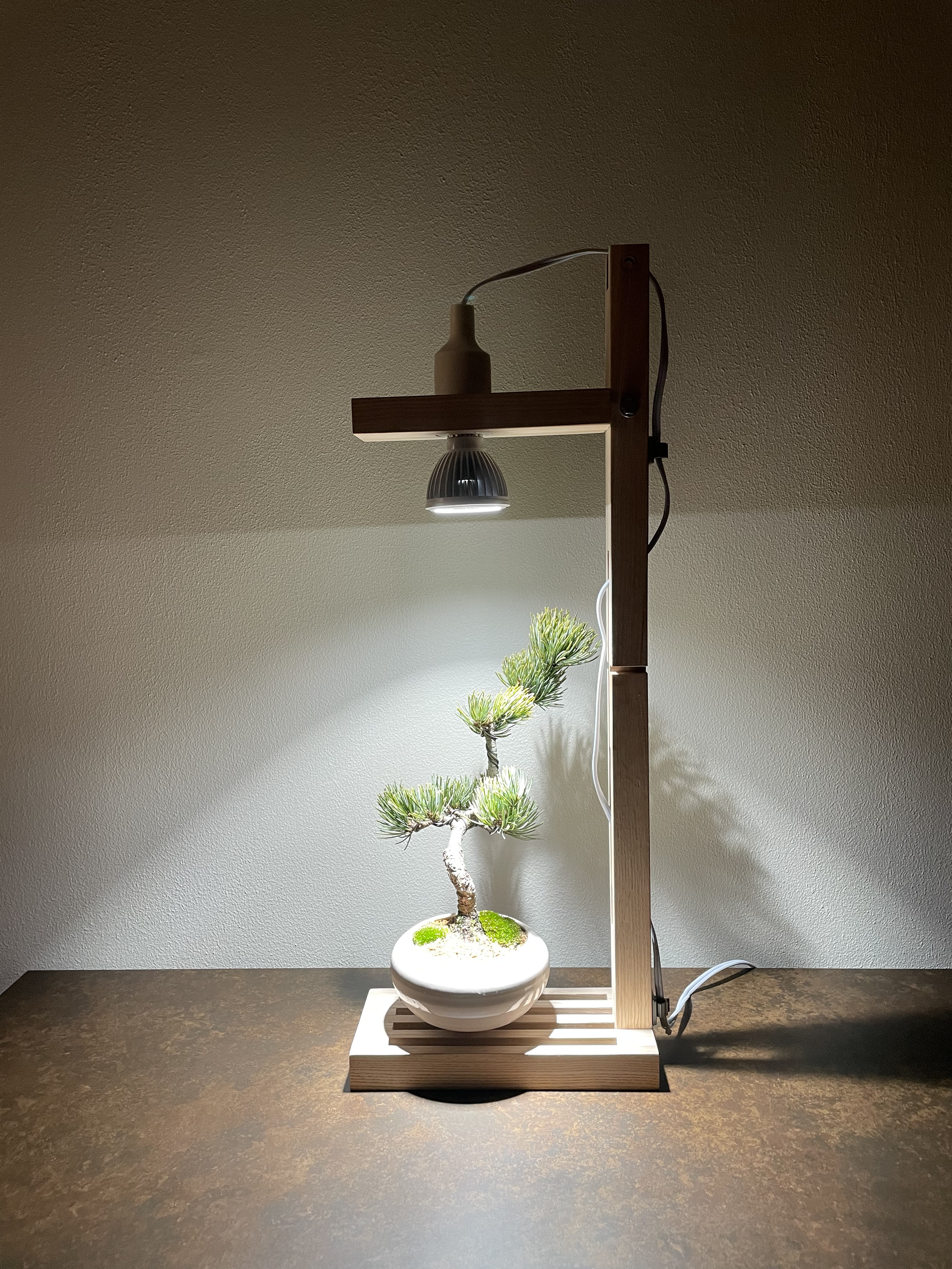 新作！植物育成LEDライトスタンド［オーク］