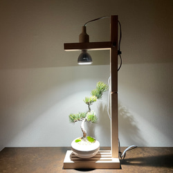 植物育成LEDライトスタンド（メープル） LED電球付 一輪挿し・花瓶