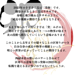 【激動の時代を風のように軽やかに生きる】苦難・苦悩から解放　物事の整い　卯年　天然石ブレスレット　翡翠　ダイオプサイト 2枚目の画像