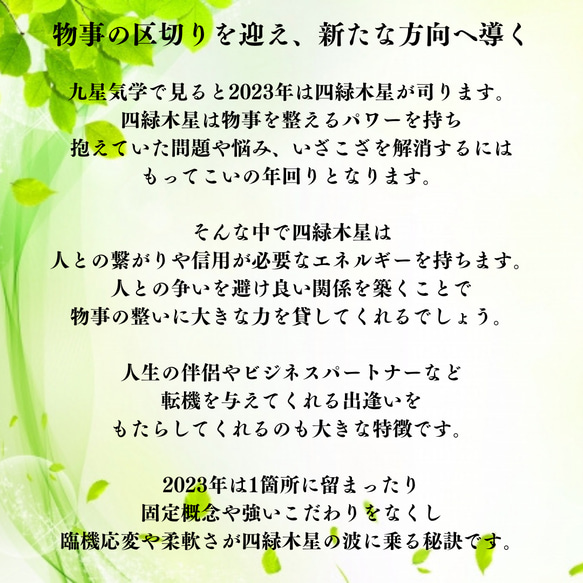 【激動の時代を風のように軽やかに生きる】苦難・苦悩から解放　物事の整い　卯年　天然石ブレスレット　翡翠　ダイオプサイト 3枚目の画像