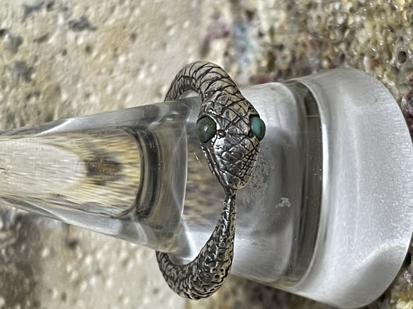 silver925 ouroboros ring w/turquoise 4枚目の画像