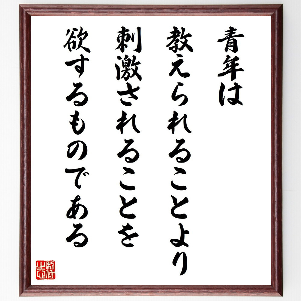 ゲーテの名言「青年は教えられることより、刺激されることを欲するもので～」手書き書道色紙額／受注後の毛筆直筆（V1375）