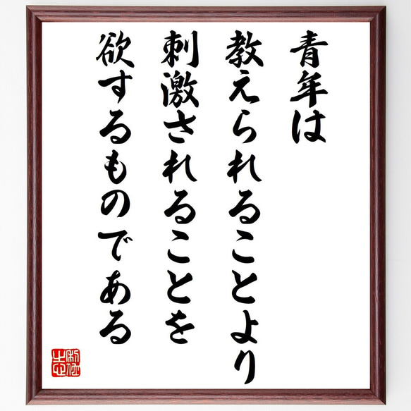 ゲーテの名言「青年は教えられることより、刺激されることを欲するものである」額付き書道色紙／受注後直筆（V1375） 1枚目の画像