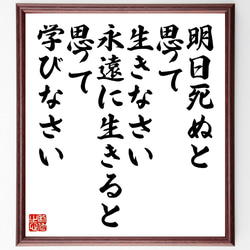 名言「明日死ぬと思って生きなさい、永遠に生きると思って学びなさい」額付き書道色紙／受注後直筆（V1380） 1枚目の画像