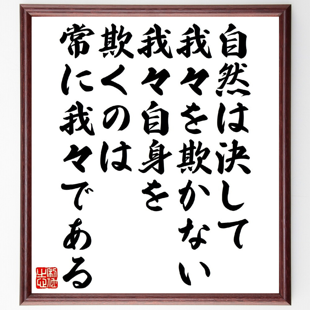 ルソーの名言「自然は決して我々を欺かない、我々自身を欺くのは常に我々～」手書き書道色紙額／受注後の毛筆直筆（V1408）