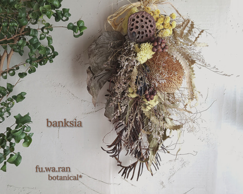 2cb6a37072ff782b79e1117784d71c