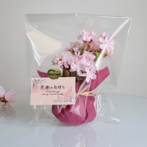 Creema限定2点セット《ずっと咲いてる》桜のふんわりアレンジとミモザ