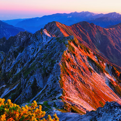 山岳風景写真 〜Ridge of Circuit〜 （針ノ木岳･北アルプス･後立山連峰･朝焼け･登山／送料無料） 7枚目の画像