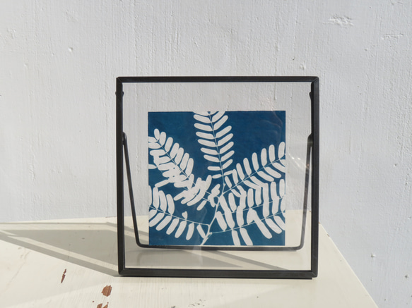 テーブルの上の Cyanotype の風景 - 古典的な金属フレームの額入り植物 Cyanotype 2枚目の画像