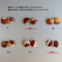  第6張的照片