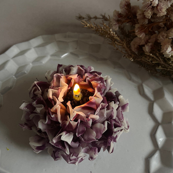 花蠟燭“morocco seti"【定做】 第1張的照片