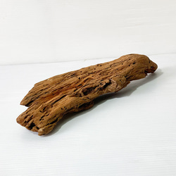 【送料無料】流木 塊流木 インテリア 爬虫類 DIY 昆虫 ka0433 3枚目の画像
