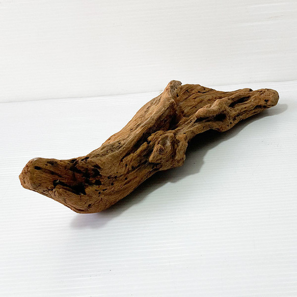 【送料無料】流木 塊流木 インテリア 爬虫類 DIY 昆虫 ka0433 2枚目の画像