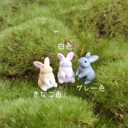 苔テラリウム用フィギュア『うさぎ』白色orきなこ色orグレー色 その他