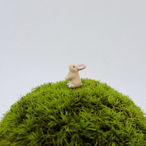 ウサギさんいっぱい❤️フィギュア❤️苔テラリウム 苔テラリウム用フィギュア『うさぎ』白色orきなこ色orグレー色 その他