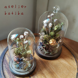 個性的な実ものがイッパイ♪ドライフラワーのガラスドーム