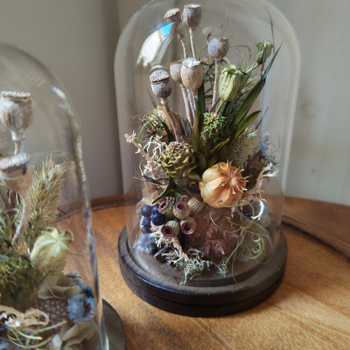 個性的な実ものがイッパイ♪ドライフラワーのガラスドーム