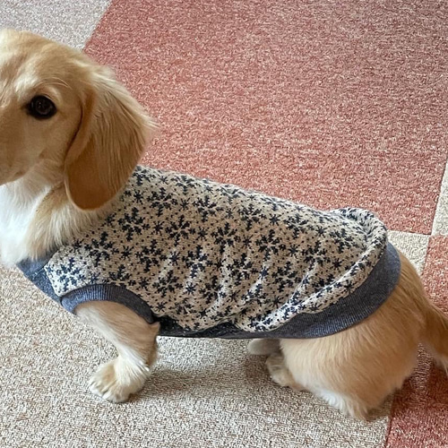 ジャガードニット ダックス服 3サイズ タンクトップ ロングサイズ 犬服