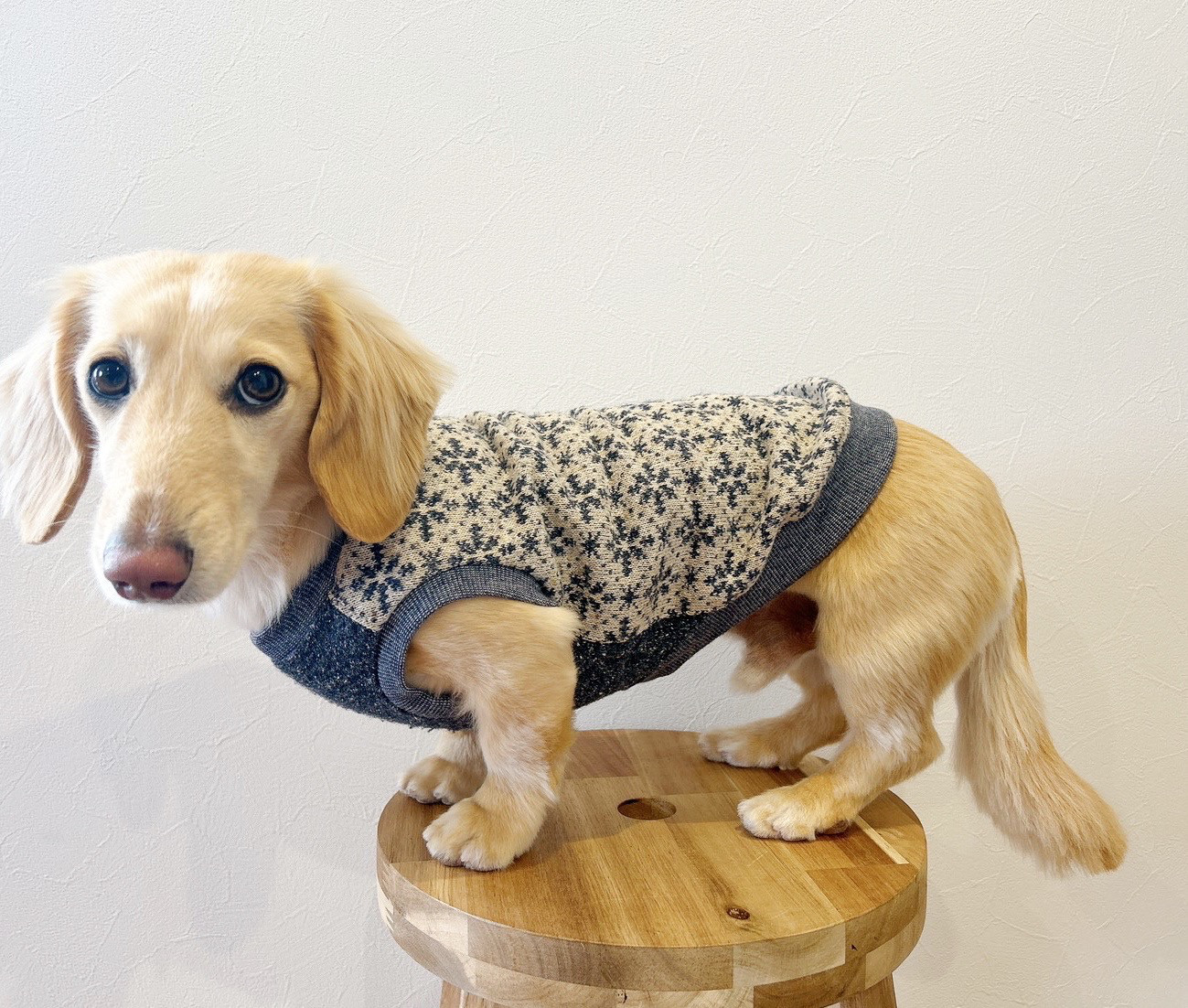 お花小型犬 ジャガードニット ハンドメイド 極厚 犬服 S