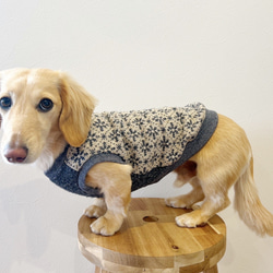 ジャガードニット ダックス服 3サイズ タンクトップ ロングサイズ 犬服