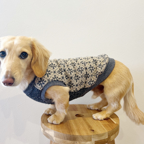 犬服 犬の服 ハンドメイド ダックスちゃん❤︎ サイズ／ 価格 ❤︎ ハンドメイド 犬服 犬の服